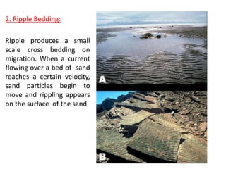 2. Ripple Bedding:
Ripple produces a small
scale cross bedding on
migration. When a current
flowing over a bed of sand
reaches a certain velocity,
sand particles begin to
move and rippling appears
on the surface of the sand
 