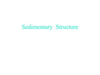 Sedimentary structure