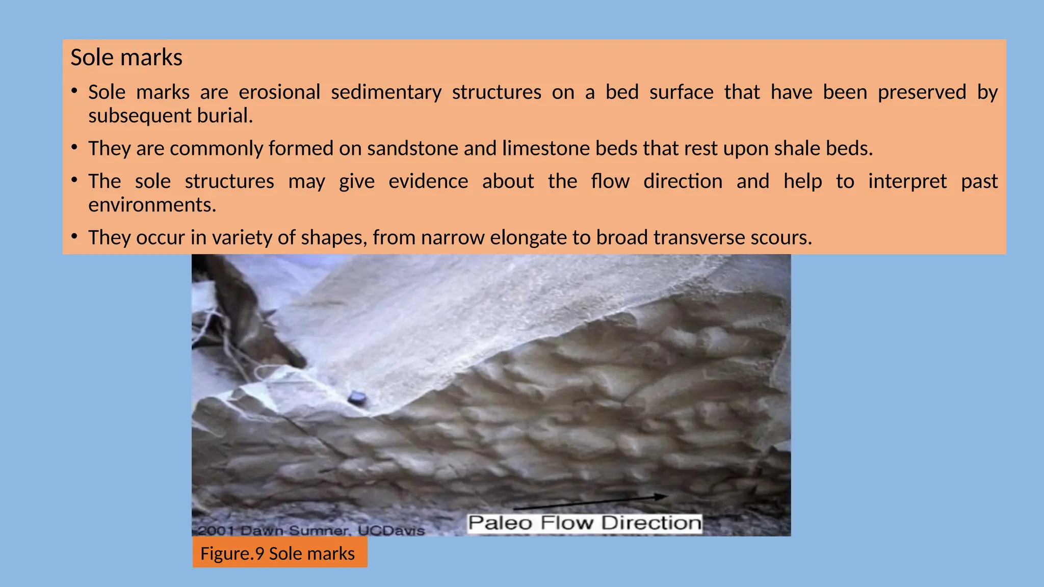 Sole marks
• Sole marks are erosional sedimentary structures on a bed surface that have been preserved by
subsequent burial.
• They are commonly formed on sandstone and limestone beds that rest upon shale beds.
• The sole structures may give evidence about the flow direction and help to interpret past
environments.
• They occur in variety of shapes, from narrow elongate to broad transverse scours.
Figure.9 Sole marks
 