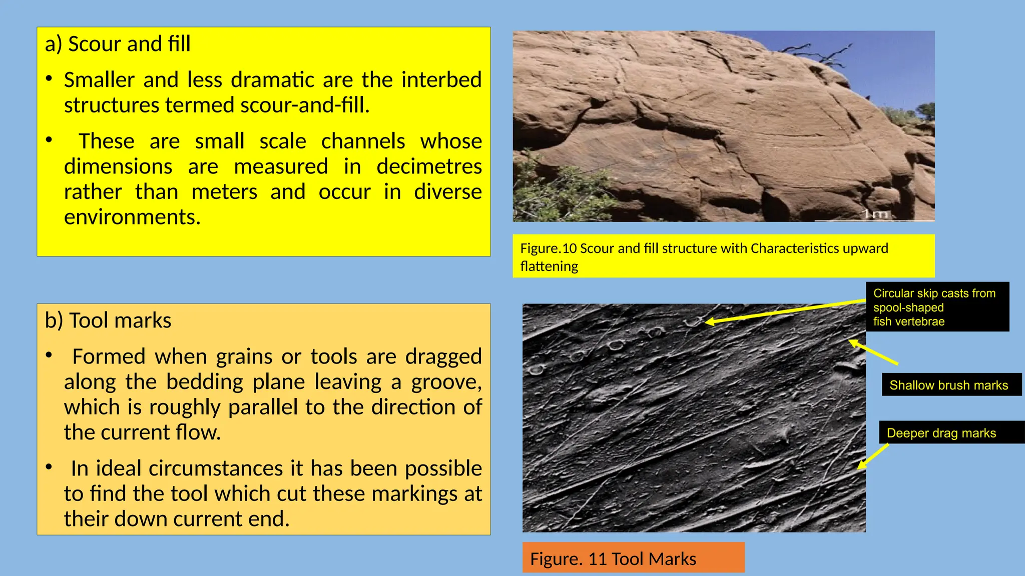 a) Scour and fill
• Smaller and less dramatic are the interbed
structures termed scour-and-fill.
• These are small scale channels whose
dimensions are measured in decimetres
rather than meters and occur in diverse
environments.
b) Tool marks
• Formed when grains or tools are dragged
along the bedding plane leaving a groove,
which is roughly parallel to the direction of
the current flow.
• In ideal circumstances it has been possible
to find the tool which cut these markings at
their down current end.
Figure.10 Scour and fill structure with Characteristics upward
flattening
Deeper drag marks
Shallow brush marks
Circular skip casts from
spool-shaped
fish vertebrae
Figure. 11 Tool Marks
 