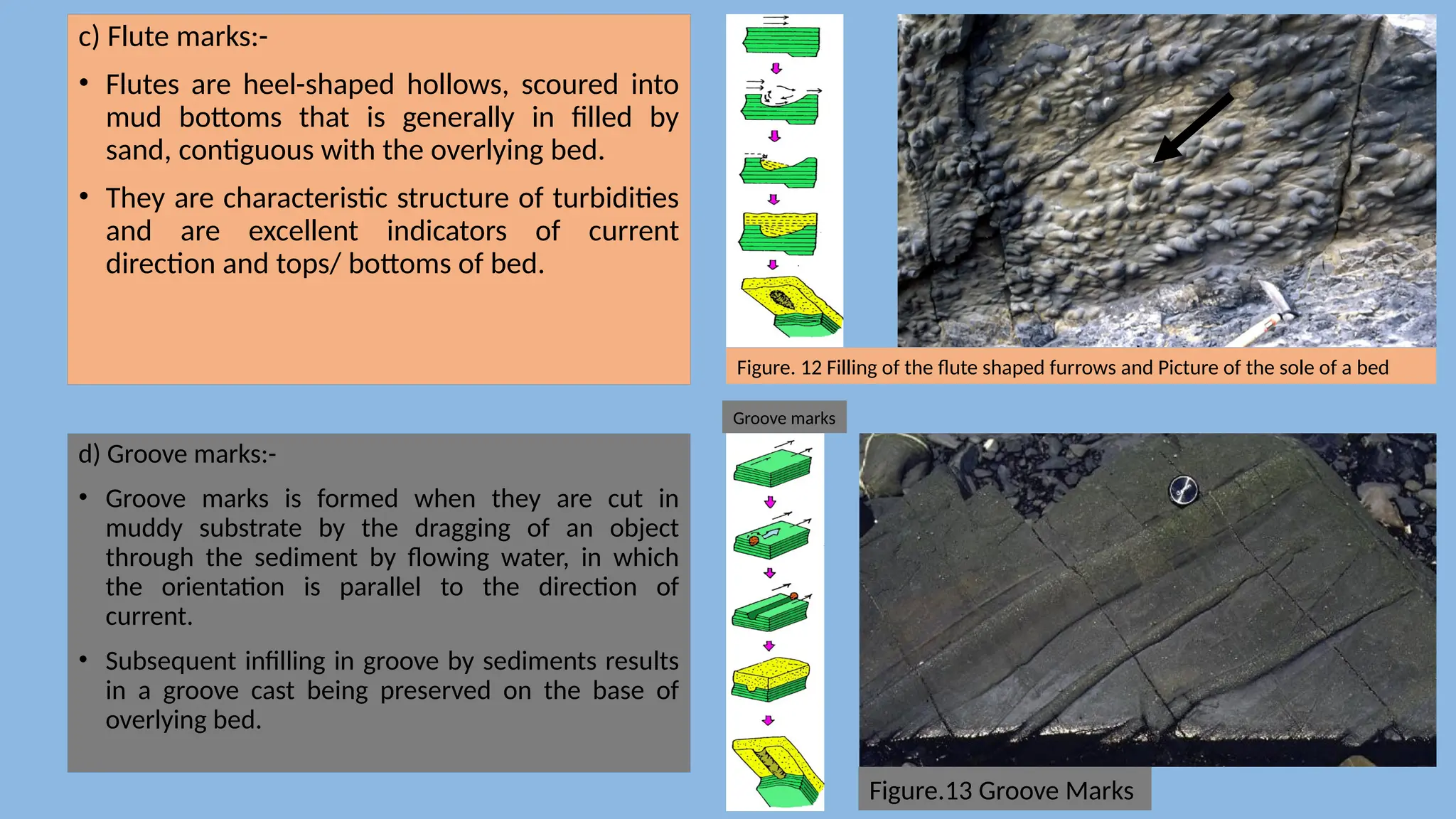 c) Flute marks:-
• Flutes are heel-shaped hollows, scoured into
mud bottoms that is generally in filled by
sand, contiguous with the overlying bed.
• They are characteristic structure of turbidities
and are excellent indicators of current
direction and tops/ bottoms of bed.
d) Groove marks:-
• Groove marks is formed when they are cut in
muddy substrate by the dragging of an object
through the sediment by flowing water, in which
the orientation is parallel to the direction of
current.
• Subsequent infilling in groove by sediments results
in a groove cast being preserved on the base of
overlying bed.
Figure. 12 Filling of the flute shaped furrows and Picture of the sole of a bed
Groove marks
Figure.13 Groove Marks
 