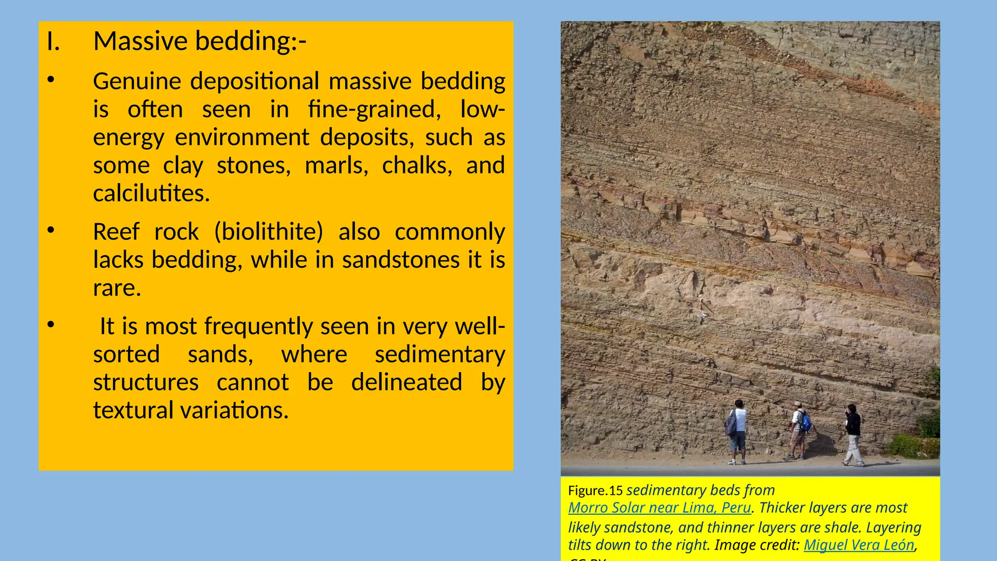 I. Massive bedding:-
• Genuine depositional massive bedding
is often seen in fine-grained, low-
energy environment deposits, such as
some clay stones, marls, chalks, and
calcilutites.
• Reef rock (biolithite) also commonly
lacks bedding, while in sandstones it is
rare.
• It is most frequently seen in very well-
sorted sands, where sedimentary
structures cannot be delineated by
textural variations.
Figure.15 sedimentary beds from
Morro Solar near Lima, Peru. Thicker layers are most
likely sandstone, and thinner layers are shale. Layering
tilts down to the right. Image credit: Miguel Vera León,
 