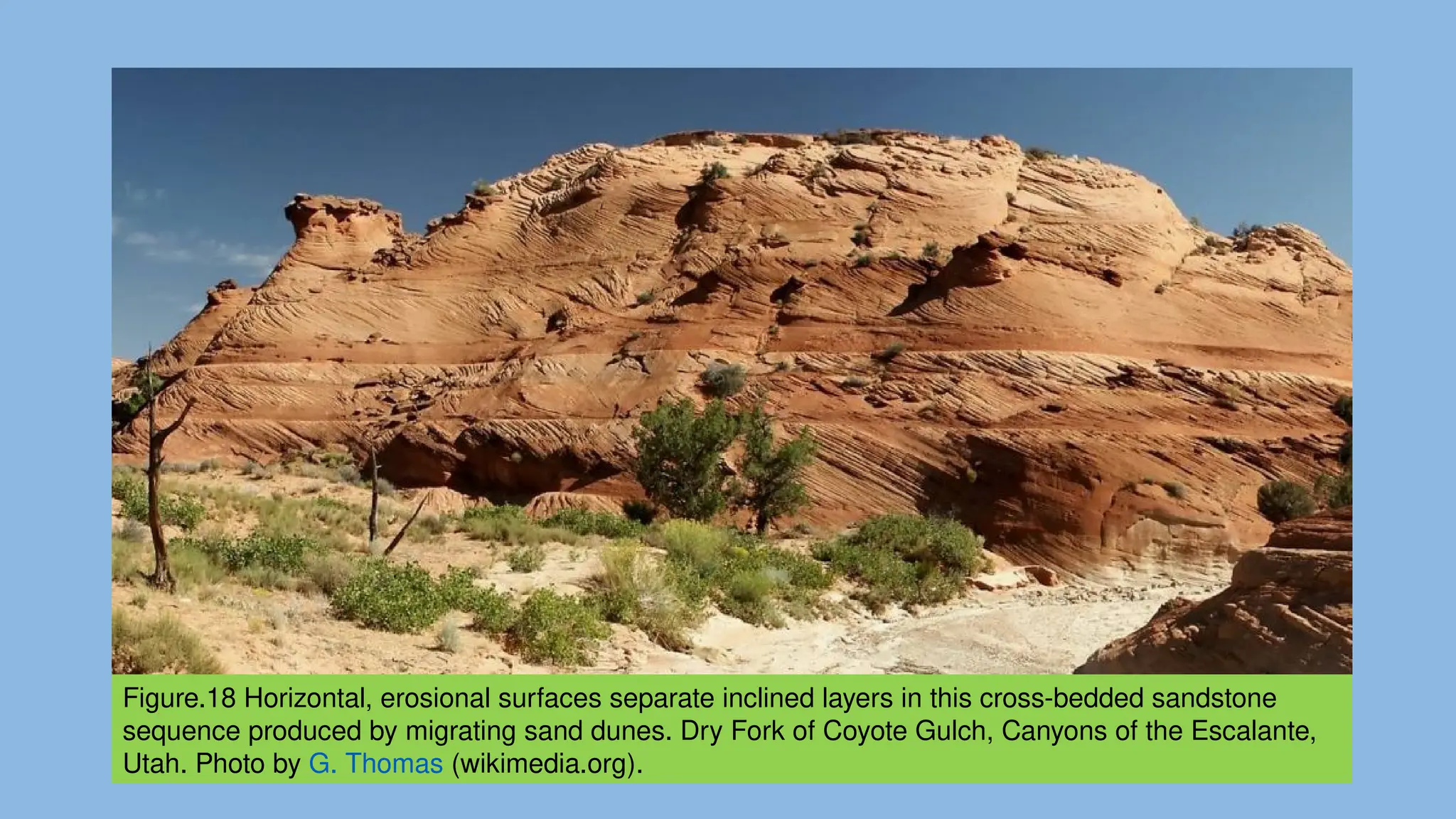 Figure.18 Horizontal, erosional surfaces separate inclined layers in this cross-bedded sandstone
sequence produced by migrating sand dunes. Dry Fork of Coyote Gulch, Canyons of the Escalante,
Utah. Photo by G. Thomas (wikimedia.org).
 