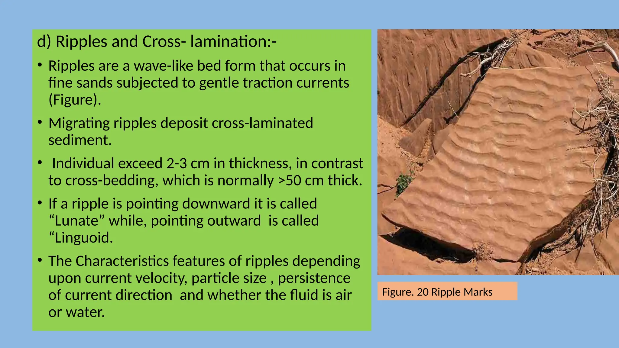 d) Ripples and Cross- lamination:-
• Ripples are a wave-like bed form that occurs in
fine sands subjected to gentle traction currents
(Figure).
• Migrating ripples deposit cross-laminated
sediment.
• Individual exceed 2-3 cm in thickness, in contrast
to cross-bedding, which is normally >50 cm thick.
• If a ripple is pointing downward it is called
“Lunate” while, pointing outward is called
“Linguoid.
• The Characteristics features of ripples depending
upon current velocity, particle size , persistence
of current direction and whether the fluid is air
or water.
Figure. 20 Ripple Marks
 