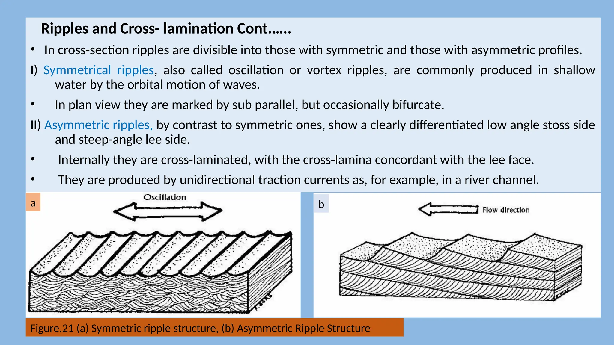 Ripples and Cross- lamination Cont.…..
• In cross-section ripples are divisible into those with symmetric and those with asymmetric profiles.
I) Symmetrical ripples, also called oscillation or vortex ripples, are commonly produced in shallow
water by the orbital motion of waves.
• In plan view they are marked by sub parallel, but occasionally bifurcate.
II) Asymmetric ripples, by contrast to symmetric ones, show a clearly differentiated low angle stoss side
and steep-angle lee side.
• Internally they are cross-laminated, with the cross-lamina concordant with the lee face.
• They are produced by unidirectional traction currents as, for example, in a river channel.
a b
Figure.21 (a) Symmetric ripple structure, (b) Asymmetric Ripple Structure
 