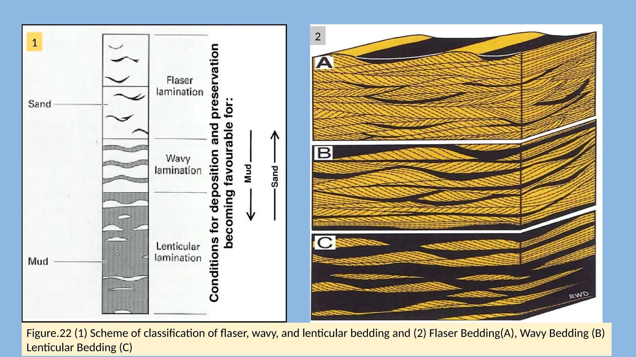 Figure.22 (1) Scheme of classification of flaser, wavy, and lenticular bedding and (2) Flaser Bedding(A), Wavy Bedding (B)
Lenticular Bedding (C)
1
2
 