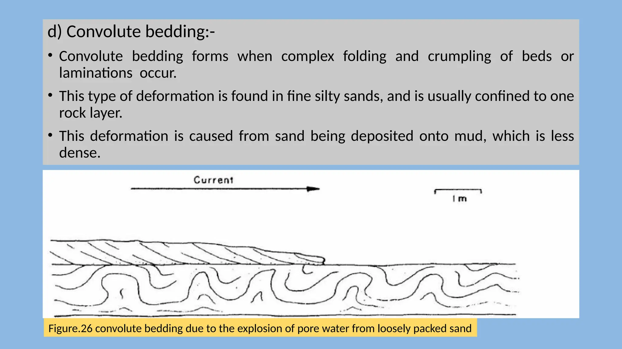 d) Convolute bedding:-
• Convolute bedding forms when complex folding and crumpling of beds or
laminations occur.
• This type of deformation is found in fine silty sands, and is usually confined to one
rock layer.
• This deformation is caused from sand being deposited onto mud, which is less
dense.
Figure.26 convolute bedding due to the explosion of pore water from loosely packed sand
 