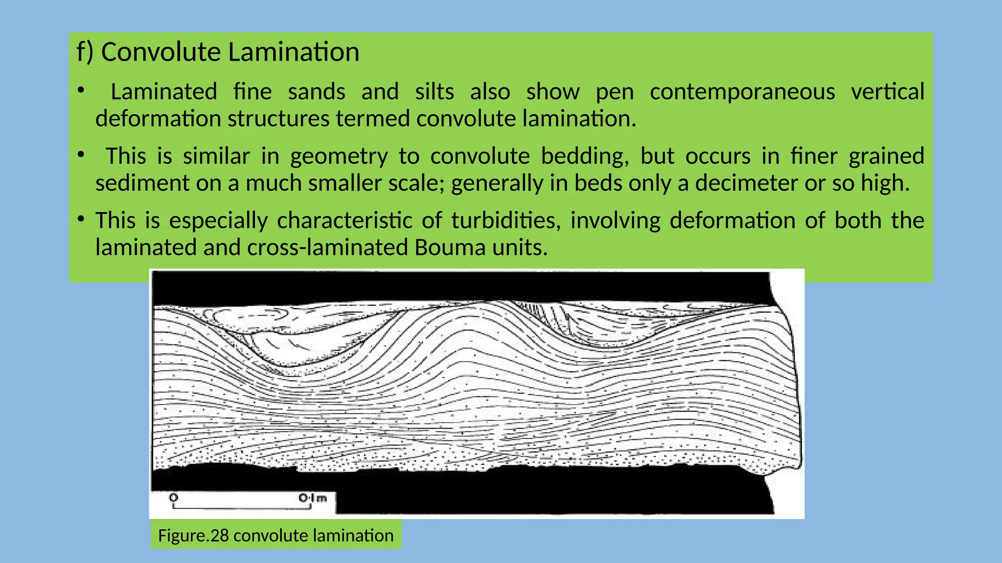 f) Convolute Lamination
• Laminated fine sands and silts also show pen contemporaneous vertical
deformation structures termed convolute lamination.
• This is similar in geometry to convolute bedding, but occurs in finer grained
sediment on a much smaller scale; generally in beds only a decimeter or so high.
• This is especially characteristic of turbidities, involving deformation of both the
laminated and cross-laminated Bouma units.
Figure.28 convolute lamination
 