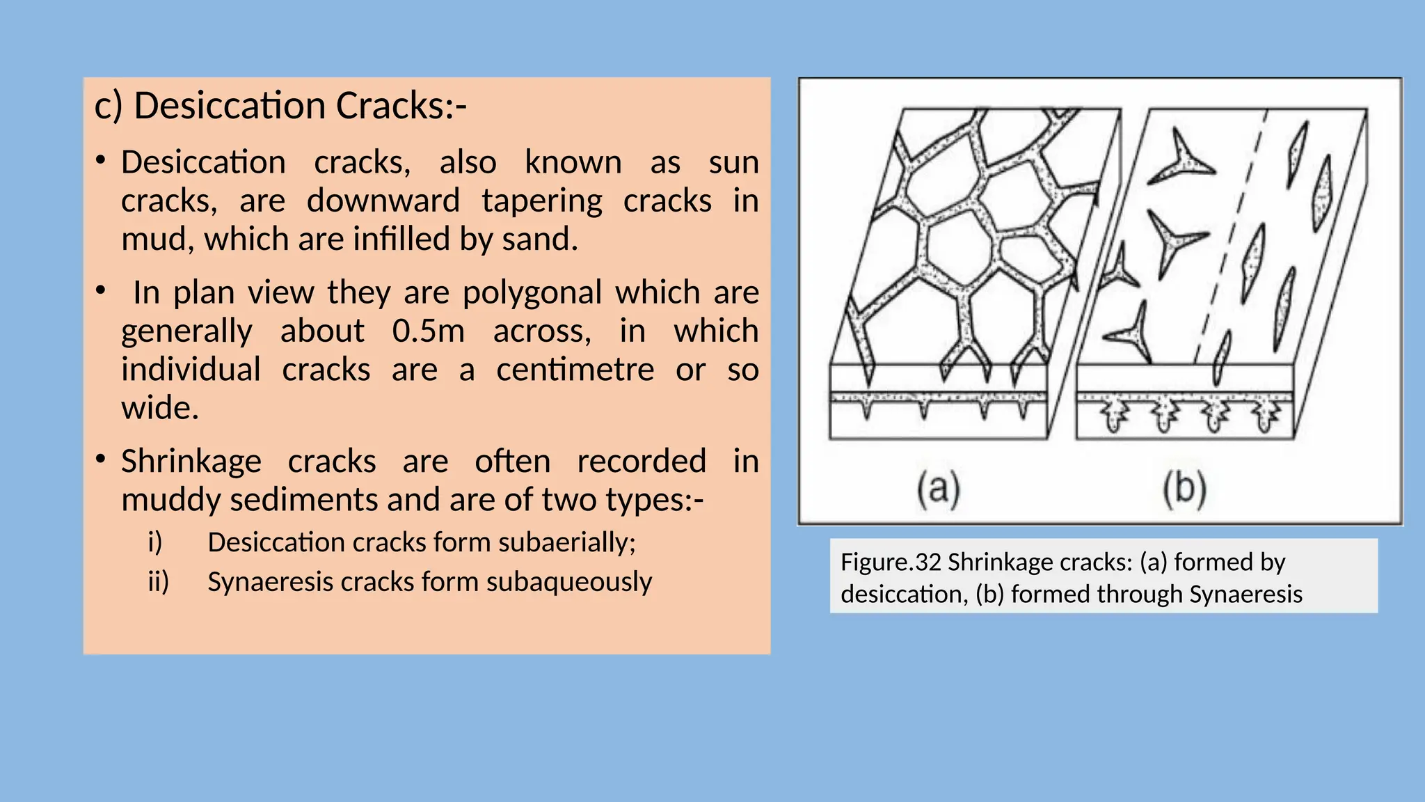 c) Desiccation Cracks:-
• Desiccation cracks, also known as sun
cracks, are downward tapering cracks in
mud, which are infilled by sand.
• In plan view they are polygonal which are
generally about 0.5m across, in which
individual cracks are a centimetre or so
wide.
• Shrinkage cracks are often recorded in
muddy sediments and are of two types:-
i) Desiccation cracks form subaerially;
ii) Synaeresis cracks form subaqueously
Figure.32 Shrinkage cracks: (a) formed by
desiccation, (b) formed through Synaeresis
 