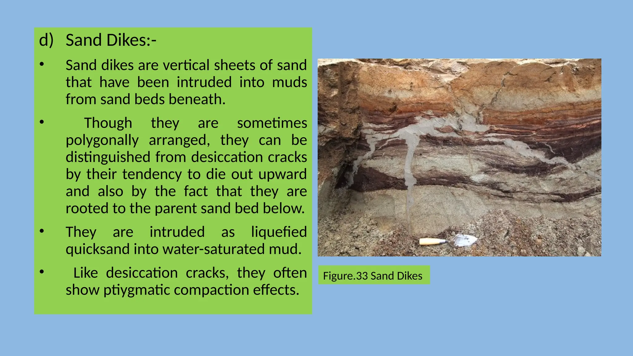 d) Sand Dikes:-
• Sand dikes are vertical sheets of sand
that have been intruded into muds
from sand beds beneath.
• Though they are sometimes
polygonally arranged, they can be
distinguished from desiccation cracks
by their tendency to die out upward
and also by the fact that they are
rooted to the parent sand bed below.
• They are intruded as liquefied
quicksand into water-saturated mud.
• Like desiccation cracks, they often
show ptiygmatic compaction effects.
Figure.33 Sand Dikes
 