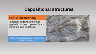 Sedimentary structures Present in Permian and Eocene Rocks of Pakistan ...