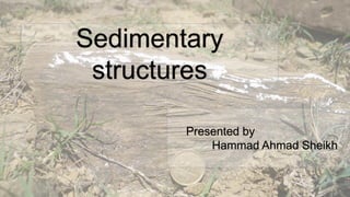 Sedimentary
structures
Presented by
Hammad Ahmad Sheikh
 