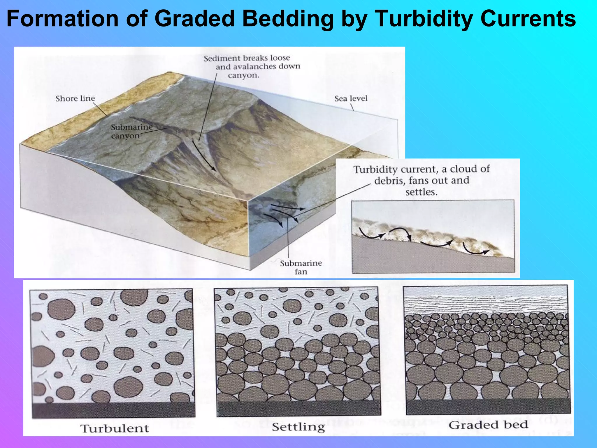 Formation of Graded Bedding by Turbidity Currents
 