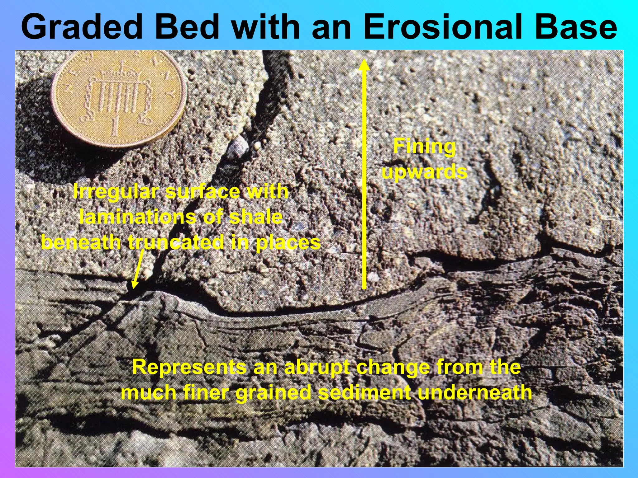 Graded Bed with an Erosional Base


                                Fining
                               upwards
    Irregular surface with
     laminations of shale
 beneath truncated in places




         Represents an abrupt change from the
        much finer grained sediment underneath
 