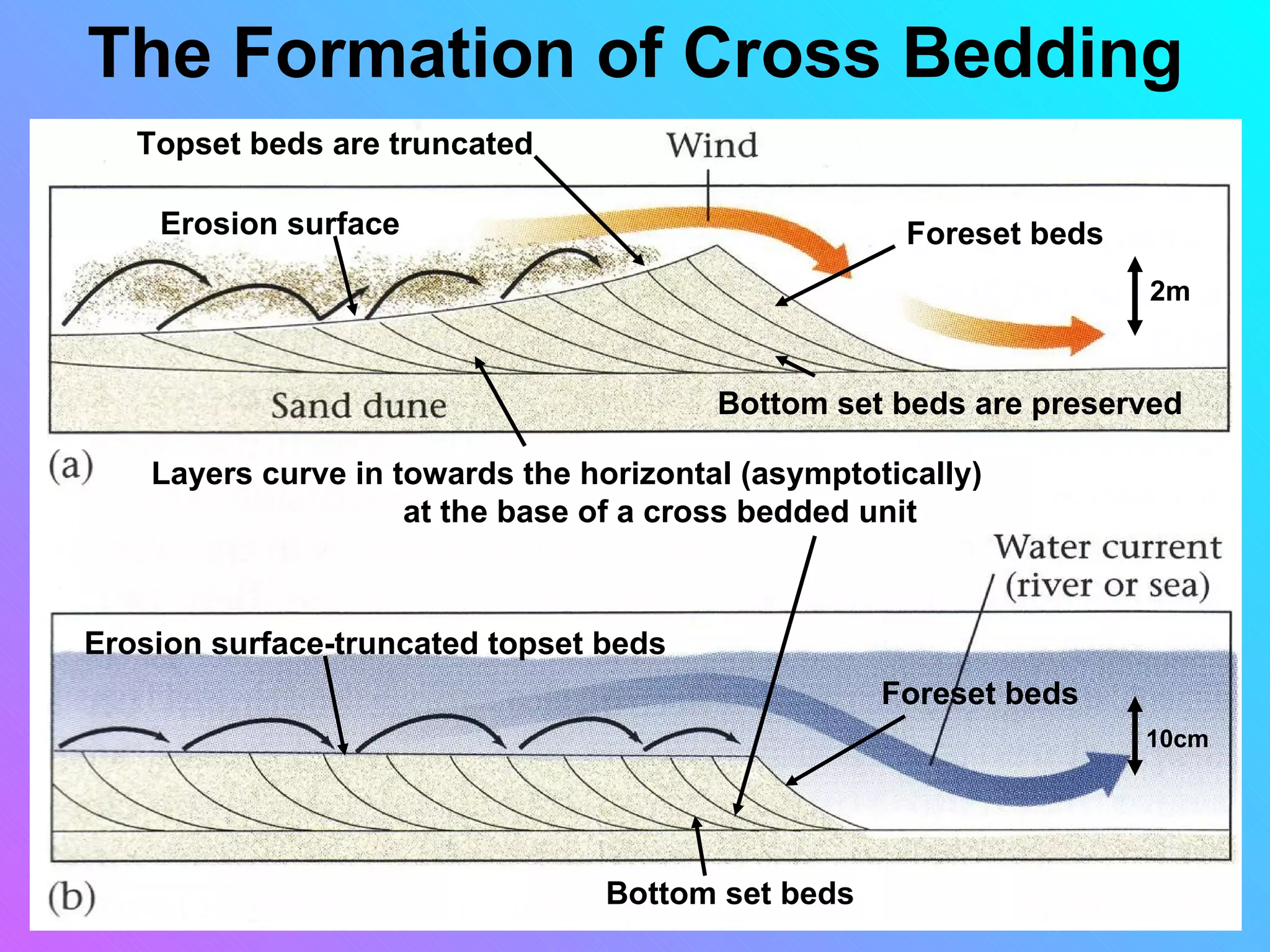 The Formation of Cross Bedding
   Topset beds are truncated

    Erosion surface                                  Foreset beds
                                                                    2m



                                         Bottom set beds are preserved

    Layers curve in towards the horizontal (asymptotically)
                     at the base of a cross bedded unit



Erosion surface-truncated topset beds
                                                    Foreset beds
                                                                    10cm




                                  Bottom set beds
 