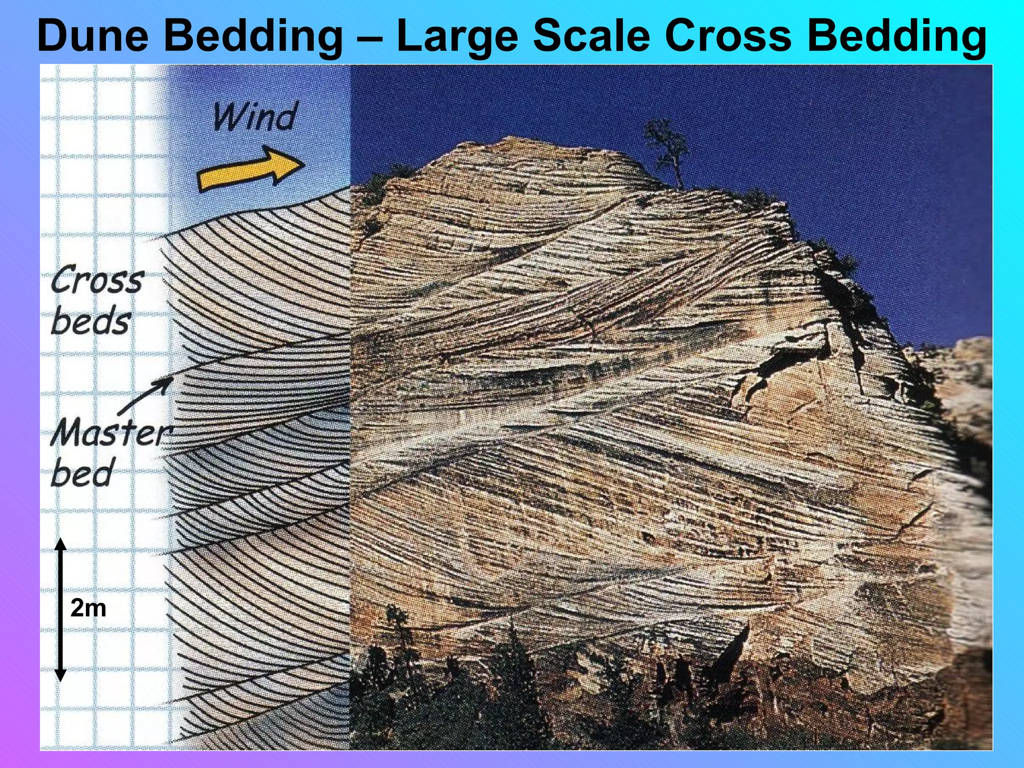 Dune Bedding – Large Scale Cross Bedding




 2m
 