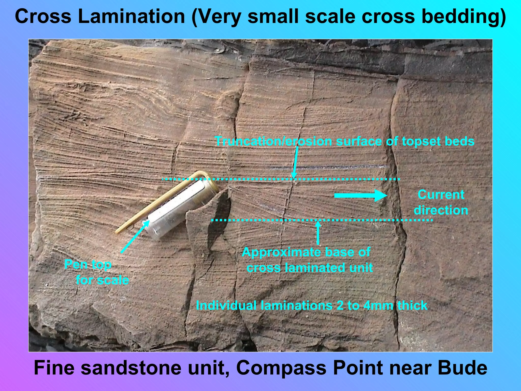 Cross Lamination (Very small scale cross bedding)




                    Truncation/erosion surface of topset beds



                                                     Current
                                                    direction


                         Approximate base of
    Pen top               cross laminated unit
     for scale
                  Individual laminations 2 to 4mm thick



 Fine sandstone unit, Compass Point near Bude
 