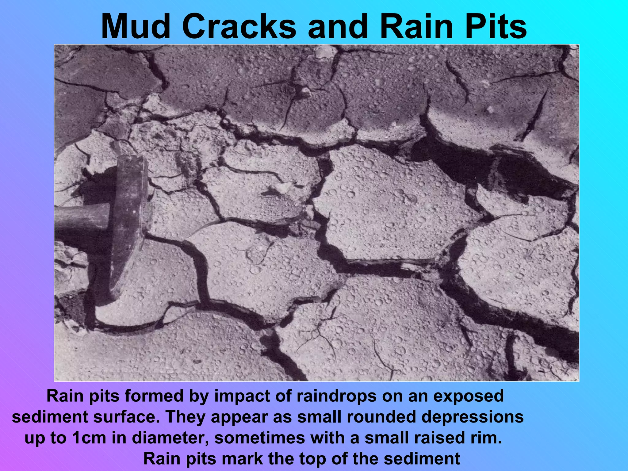Mud Cracks and Rain Pits




    Rain pits formed by impact of raindrops on an exposed
sediment surface. They appear as small rounded depressions
 up to 1cm in diameter, sometimes with a small raised rim.
                Rain pits mark the top of the sediment
 