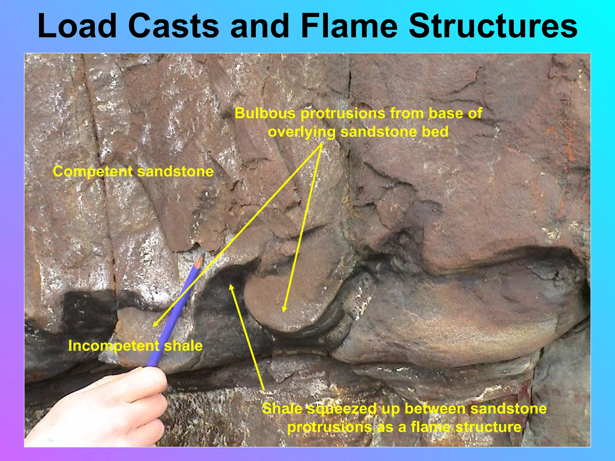Load Casts and Flame Structures

                      Bulbous protrusions from base of
                          overlying sandstone bed

Competent sandstone




 Incompetent shale



                         Shale squeezed up between sandstone
                            protrusions as a flame structure
 
