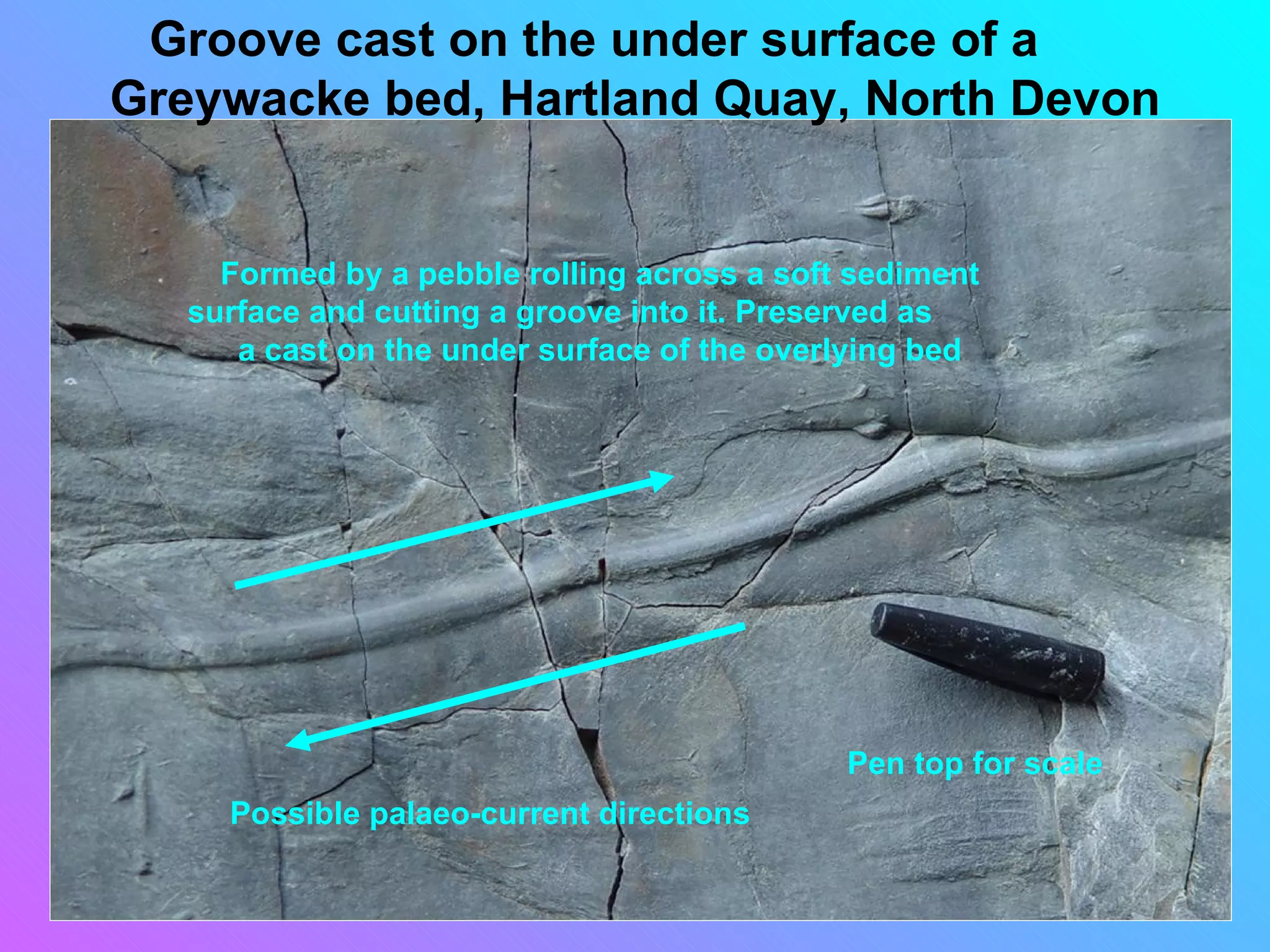 Groove cast on the under surface of a
Greywacke bed, Hartland Quay, North Devon


     Formed by a pebble rolling across a soft sediment
   surface and cutting a groove into it. Preserved as
      a cast on the under surface of the overlying bed




                                             Pen top for scale
     Possible palaeo-current directions
 