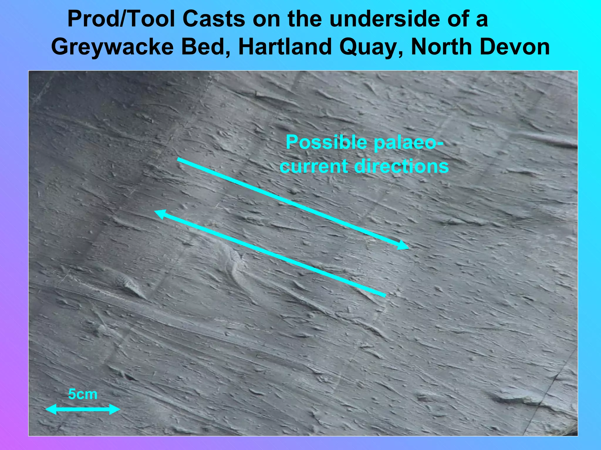 Prod/Tool Casts on the underside of a
Greywacke Bed, Hartland Quay, North Devon



                   Possible palaeo-
                  current directions




 5cm
 