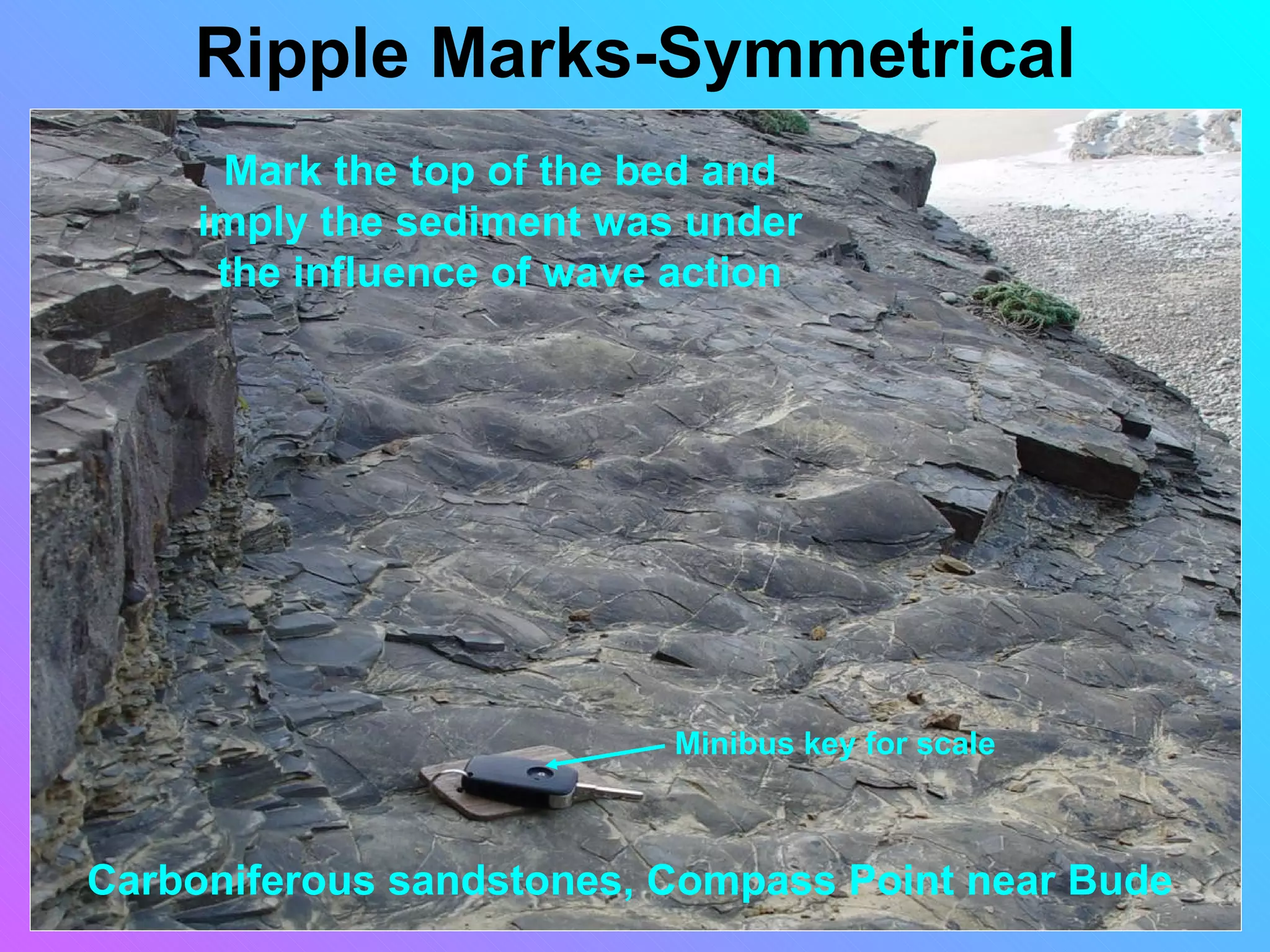 Ripple Marks-Symmetrical
     Mark the top of the bed and
    imply the sediment was under
     the influence of wave action




                          Minibus key for scale



Carboniferous sandstones, Compass Point near Bude
 