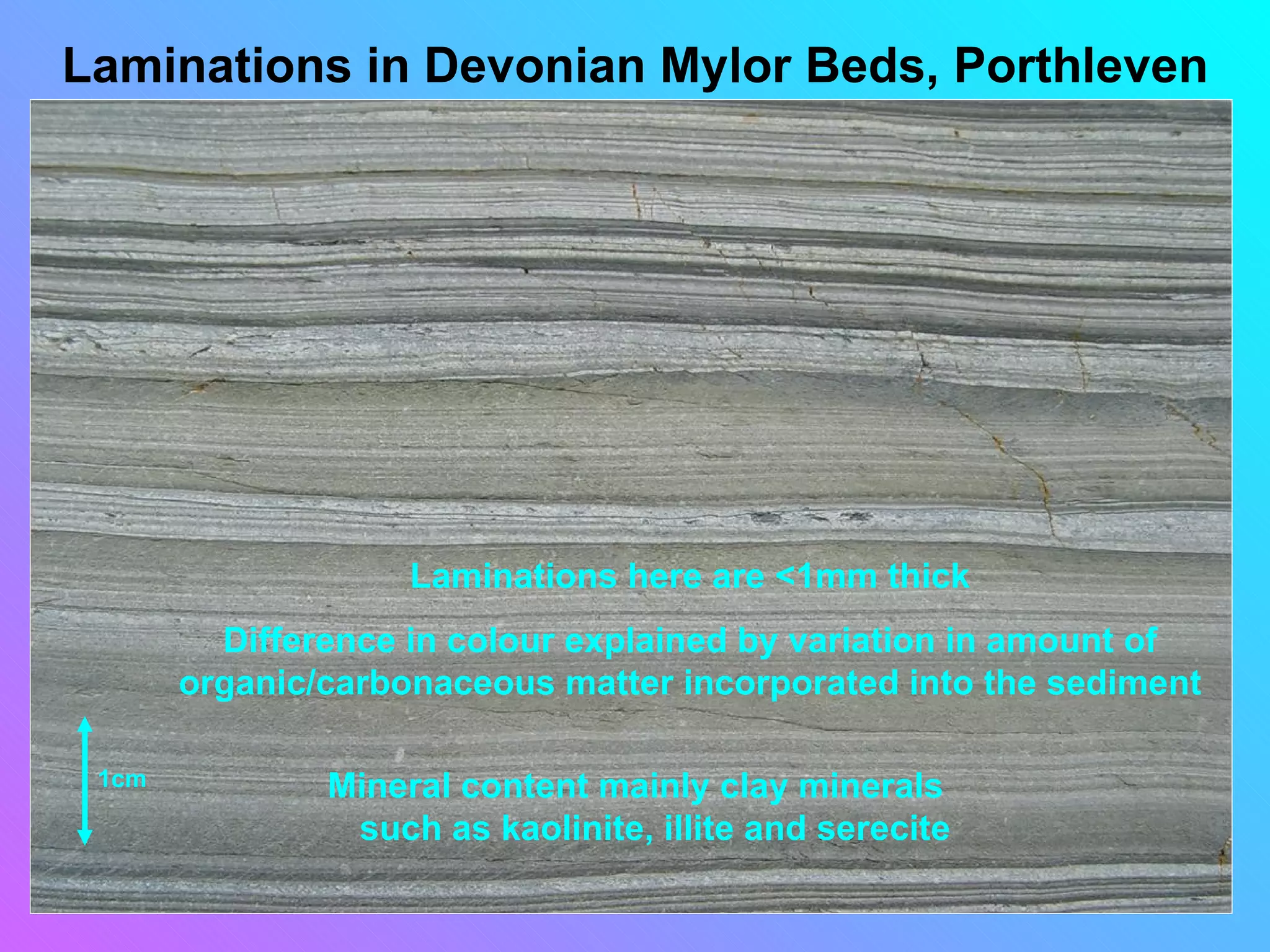 Laminations in Devonian Mylor Beds, Porthleven




                    Laminations here are <1mm thick
         Difference in colour explained by variation in amount of
       organic/carbonaceous matter incorporated into the sediment

 1cm           Mineral content mainly clay minerals
                such as kaolinite, illite and serecite
 