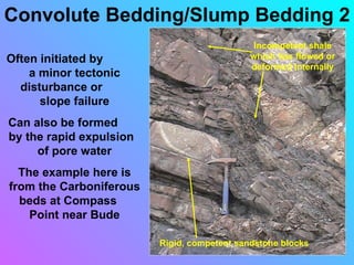 Sedimentary structures smallas | PPT
