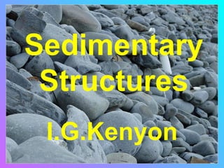 Sedimentary
 Structures
 I.G.Kenyon
 