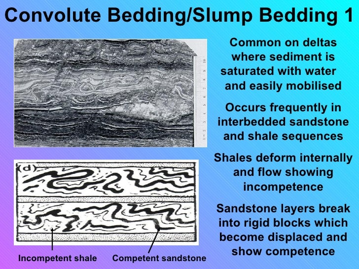 Sedimentary structures smallas