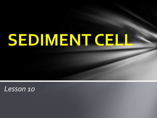 Lesson 10
SEDIMENT CELL
 