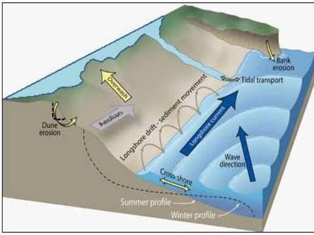 Sediment cell lesson 10