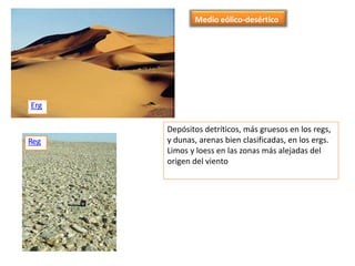Medio eólico-desértico
Erg
Reg
Depósitos detríticos, más gruesos en los regs,
y dunas, arenas bien clasificadas, en los ergs.
Limos y loess en las zonas más alejadas del
origen del viento
 
