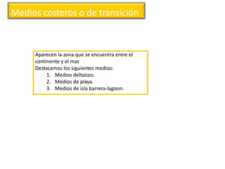 Medios costeros o de transición
Aparecen la zona que se encuentra entre el
continente y el mar.
Destacamos los siguientes medios:
1. Medios deltaicos.
2. Medios de playa.
3. Medios de isla barrera-lagoon.
 