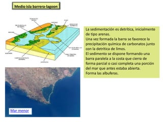 Mar menor
Medio isla barrera-lagoon
La sedimentación es detrítica, inicialmente
de tipo arenas.
Una vez formada la barra se favorece la
precipitación química de carbonatos junto
con la detrítica de limos.
El sedimento se dispone formando una
barra paralela a la costa que cierra de
forma parcial o casi completa una porción
del mar que antes estaba abierta.
Forma las albuferas.
 