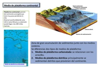 Medio de plataforma continental
Plataforma continental: porción
del continente sumergido que
tiene muy poca pendiente (1-
2%).
Alcanza la profundidadde unos
150 m (zona fótica) y su extensión
puede llegar a las 200 millas
marinas.
Zona de gran acumulación de sedimentos junto con los medios
costeros.
Se diferencias dos tipos de medios de plataforma:
1. Medios de plataforma carbonatada: se relacionan con los
arrecifes.
2. Medios de plataforma detrítica: principalmente se
sedimentan detritos que provienen del continente.
Medio de plataforma carbonatada
 