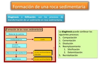 Formación de una roca sedimentaria
Diagénesis o litificación: son los procesos de
transformación de un sedimento en roca sedimentaria.
La diagénesis puede conllevar los
siguientes procesos:
1. Compactación
2. Cementación
3. Disolución
4. Reemplazamiento
1. Silicificación
2. Dolomitización
5. Recristalización
 