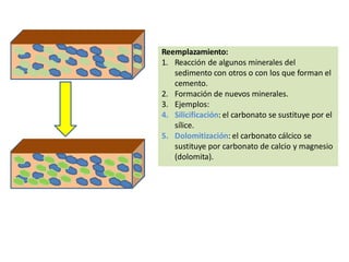 Reemplazamiento:
1. Reacción de algunos minerales del
sedimento con otros o con los que forman el
cemento.
2. Formación de nuevos minerales.
3. Ejemplos:
4. Silicificación: el carbonato se sustituye por el
sílice.
5. Dolomitización: el carbonato cálcico se
sustituye por carbonato de calcio y magnesio
(dolomita).
 