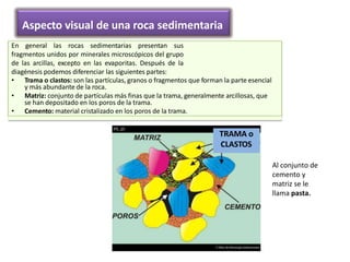 Aspecto visual de una roca sedimentaria
En general las rocas sedimentarias presentan sus
fragmentos unidos por minerales microscópicos del grupo
de las arcillas, excepto en las evaporitas. Después de la
diagénesis podemos diferenciar las siguientes partes:
• Trama o clastos: son las partículas, granos o fragmentos que forman la parte esencial
y más abundante de la roca.
• Matriz: conjunto de partículas más finas que la trama, generalmente arcillosas, que
se han depositado en los poros de la trama.
• Cemento: material cristalizado en los poros de la trama.
TRAMA o
CLASTOS
Al conjunto de
cemento y
matriz se le
llama pasta.
 