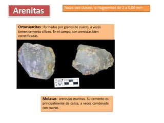 Arenitas Rocas con clastos o fragmentos de 2 a 0,06 mm
Molasas: areniscas marinas. Su cemento es
principalmente de caliza, a veces combinada
con cuarzo.
Ortocuarcitas : formadas por granos de cuarzo, a veces
tienen cemento silíceo. En el campo, son areniscas bien
estratificadas.
 