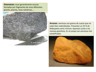 Grauvacas: rocas generalmente oscuras
formadas por fragmentos de rocas diferentes:
granito, pizarras, rocas volcánicas,…
Arcosas: areniscas con granos de cuarzo que no
están bien redondeados. Presentan un 25 % de
feldespatos como mínimo. Aparecen junto a los
macizos graníticos. En el campo son areniscas mal
estratificadas.
 