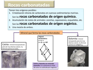 Rocas carbonatadas
Tienen tres orígenes posibles:
1. Cristalización directa de carbonatos en cuencas sedimentarias marinas.
Son las rocas carbonatadas de origen químico.
2. Acumulación de restos de animales: conchas, caparazones, esqueletos, etc.
Son las rocas carbonatadas de origen orgánico.
3. Una mezcla de ambos.
Mineral que forma las rocas carbonatadas
Calcita: mineral transparente de
pero de muy diversos colores. Su
fórmula química es CaCO3
Dolomita: mineral
transparente,pero de muy
diversos colores. Su fórmula
química es CaMg(CO3)2
Trigonal
Romboédrico
a = b = c
α = β = γ ≠ 90º
Calcita y dolomita son minerales
isomorfos. En la dolomita la mitad
del calcio es sustituido por magnesio.
 