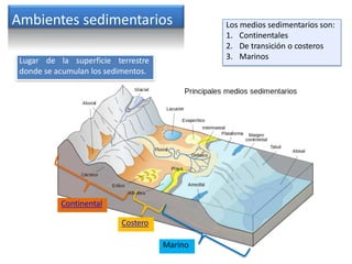 Ambientes sedimentarios
Lugar de la superficie terrestre
donde se acumulan los sedimentos.
Los medios sedimentarios son:
1. Continentales
2. De transición o costeros
3. Marinos
Continental
Costero
Marino
 