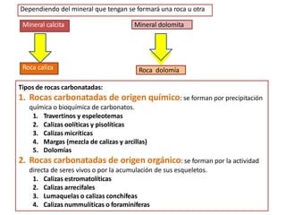 Dependiendo del mineral que tengan se formará una roca u otra
Mineral calcita
Roca caliza
Mineral dolomita
Roca dolomía
Tipos de rocas carbonatadas:
1. Rocas carbonatadas de origen químico: se forman por precipitación
química o bioquímica de carbonatos.
1. Travertinos y espeleotemas
2. Calizas oolíticas y pisolíticas
3. Calizas micríticas
4. Margas (mezcla de calizas y arcillas)
5. Dolomías
2. Rocas carbonatadas de origen orgánico: se forman por la actividad
directa de seres vivos o por la acumulación de sus esqueletos.
1. Calizas estromatolíticas
2. Calizas arrecifales
3. Lumaquelas o calizas conchífeas
4. Calizas nummulíticas o foraminíferas
 