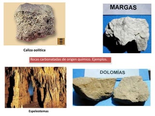 Rocas carbonatadas de origen químico. Ejemplos.
Caliza oolítica
Espeleotemas
 