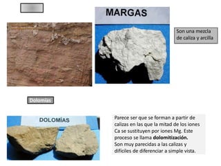 Son una mezcla
de caliza y arcilla
Dolomías
Parece ser que se forman a partir de
calizas en las que la mitad de los iones
Ca se sustituyen por iones Mg. Este
proceso se llama dolomitización.
Son muy parecidas a las calizas y
difíciles de diferenciar a simple vista.
 