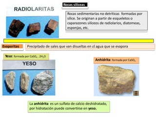 Anhidrita: formada por CaSO4
Rocas silíceas
Rocas sedimentarias no detríticas formadas por
sílice. Se originan a partir de esqueletos o
caparazones silíceos de radiolarios, diatomeas,
esponjas, etc.
Evaporitas Precipitado de sales que van disueltas en el agua que se evapora
Yeso: formada por CaSO4 . 2H2O
La anhidrita es un sulfato de calcio deshidratado,
por hidratación puede convertirse en yeso.
 