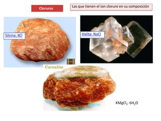 Halita: NaClSilvina: KCl
Las que tienen el ion cloruro en su composición
Cloruros
KMgCl3· 6H2O
 
