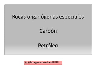 Rocas organógenas especiales
Carbón
Petróleo
¡¡¡¡¡¡Su origen no es mineral!!!!!!!
 
