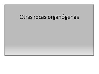 Otras rocas organógenas
 